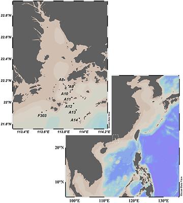 Influence of Algal Production and Decomposition on the Carbon Isotope Signature of Labile Particulate Organic Matter on a Productive Continental Shelf Under the Stress of Coastal Hypoxia